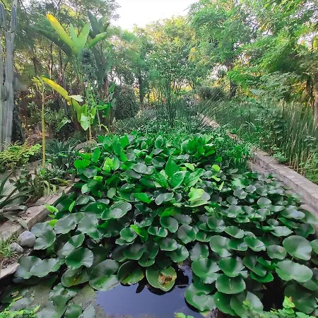 Babil Bahceleri - Gardens Of Babel Frühstückspension