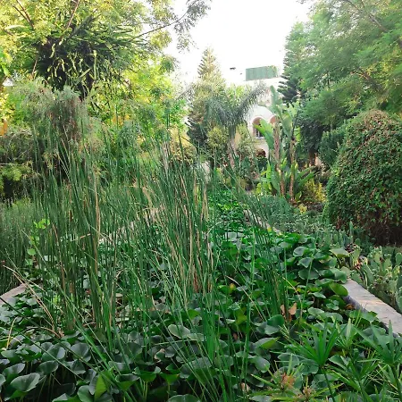 Babil Bahceleri - Gardens Of Babel Lapithos (Northern Cyprus)