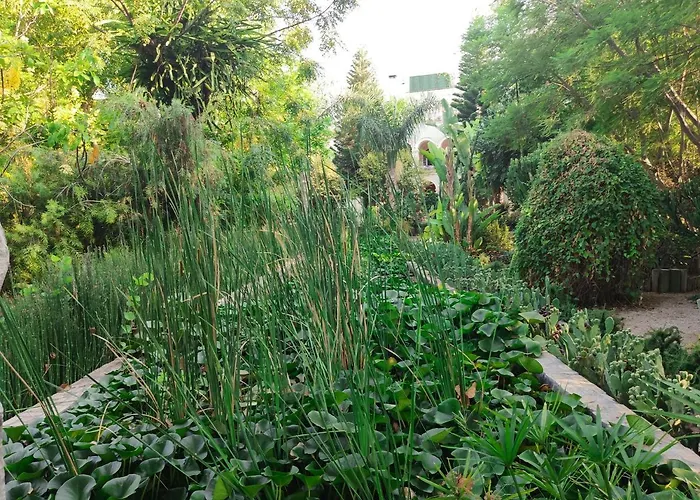 Babil Bahceleri - Gardens Of Babel ラピソス