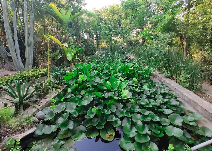 Babil Bahceleri - Gardens Of Babel Bed & Breakfast